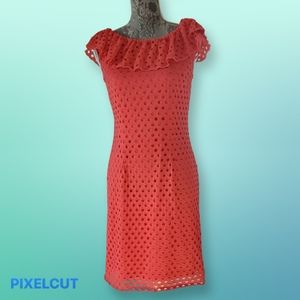 Sleeveless Dressbarn Dress